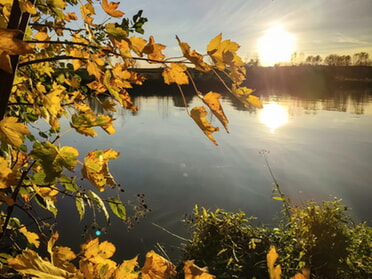 30.10.2025 - Werner Ohsam - Herbst am Neckarufer