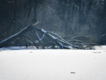 07.01.2026 - Werner Ohsam - Winterliches Seeloch