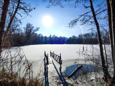 07.01.2025 - Werner Ohsam - Winter am Seeloch