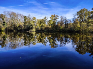 04.11.2025 - Werner Ohsam - Herbstanfang am Seeloch