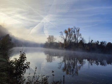 05.11.2025 - Werner Ohsam - Nebel am Neckar