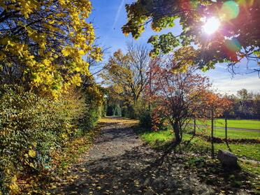 05.11.2025 - Werner Ohsam - Herbsttag