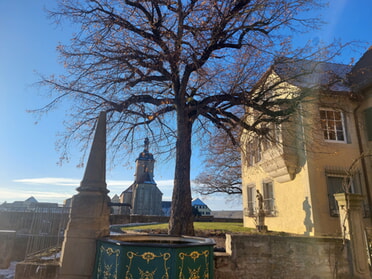 07.01.2025 - Hans-Peter Schwarz - Rathausbrunnen - Rathaus - Regiswindiskirche