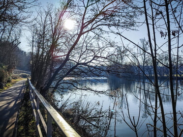 26.12.2025 - Werner Ohsam - Sonniger Wintertag am Lauffener Neckartalradweg
