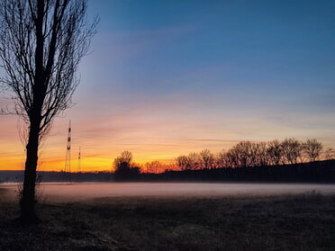 12.12.2025 - Werner Ohsam - Nebel am Neckaruf