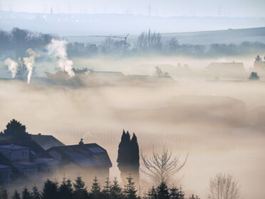 27.01.2026 - Ulrich Seidel - Morgennebel im Neckartal bei Lauffen II