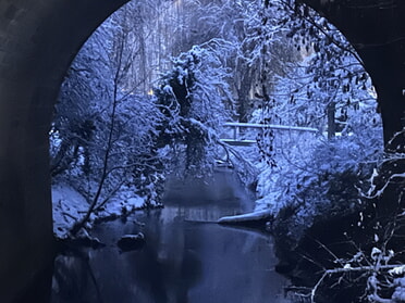 26.01.2026 - Renate Brauch - Winterlicher Blickwinkel von der Br&uuml;cke
