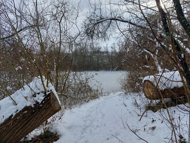26.01.2026 - Hans-Peter Schwarz - Winterstimmung an den Fischteichen