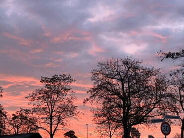 10.02.2026 - Kerstin Dani Weise - Neckar in Flammen am Morgen