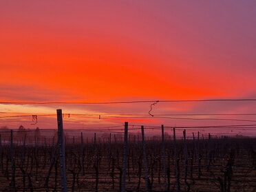 03.02.2026 - Birgit Sautter - Feuer-Abend im Weinberg