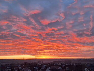 10.02.2026 - Rose Hess - Himmlischer Augenblick am Morgen