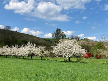18.04.2026 - Dorothee Ei&szlig;ele - Fr&uuml;hling in Lauffen