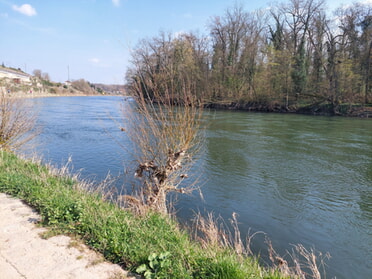 M&auml;rz 2026 - Daniela Reiner - Neckar mit Blick auf die Vogelinsel