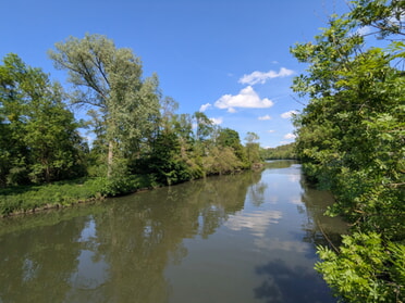 08.05.2026 - Beate Reinwald - Neckarblick vom Zementwerk 