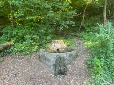 28.05.2026 - Jasmin R&ouml;singer - Im Kaywald