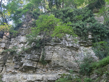 28.05.2026 - Jasmin R&ouml;singer - Im Kaywald