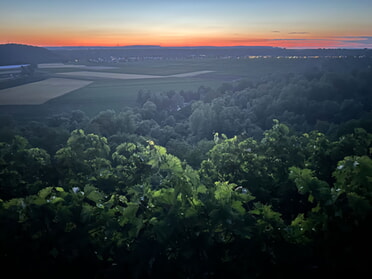 04.07.2026 - Jasmin R&ouml;singer - Sch&ouml;ner Sonnenuntergang am Steilhang in Lauffen a.N.