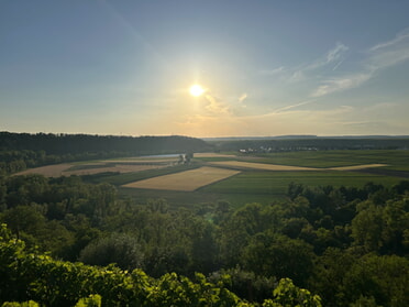 04.07.2026 - Jasmin R&ouml;singer - Sch&ouml;ner Sonnenuntergang am Steilhang in Lauffen a.N.