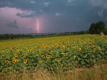 15. Juli 2026 - Martin braunbeck - Gewitter &uuml;ber Lauffen a.N. 
