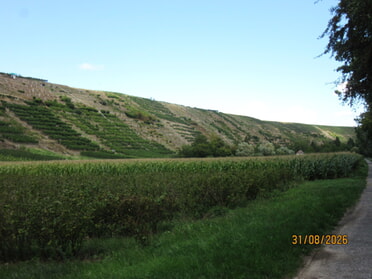 31.08.2026 - Urban B&ouml;hner-Stamm - &Auml;u&szlig;erer Berg