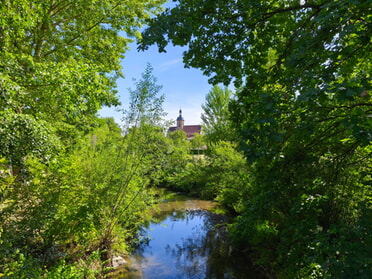 07.09.2026 - Eva Kling - Regiswindiskirche im Gr&uuml;nen