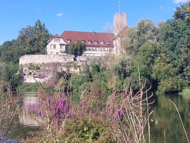 16.09.2026 - Hans-Peter Schwarz - Blick auf die Burg, heutiges Rathaus
