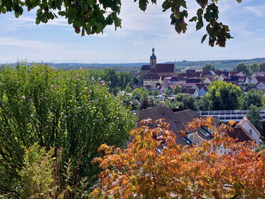 11.09.2026 - Hans-Peter Schwarz - Blick vom Geigersberg