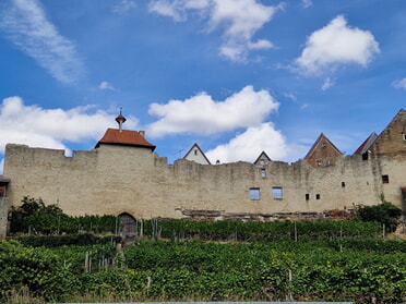 17.09.2026 - Birgit Sautter - Stadtmauer anno dazumal