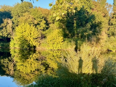 25.09.2026 - Hartmut Clau&szlig; - Neckarspiegelung vor der Vogelinsel